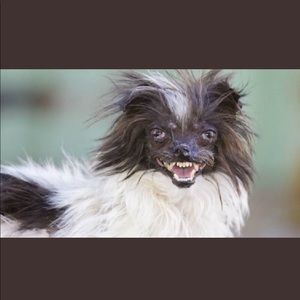 Meet your Posher, Cameron